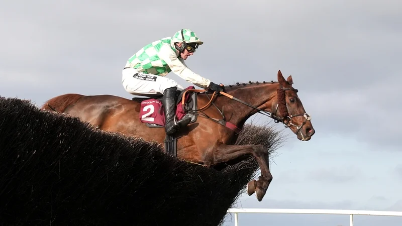 Celebre D'Allen dies following Grand National run