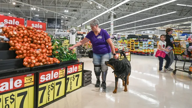 'Doors are being shut': Fake service dogs hurt real service animals' credibility, advocates warn