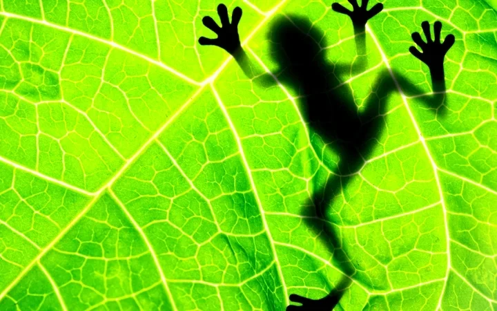 Get Creative: On writing poetry - pinning the poem to the page