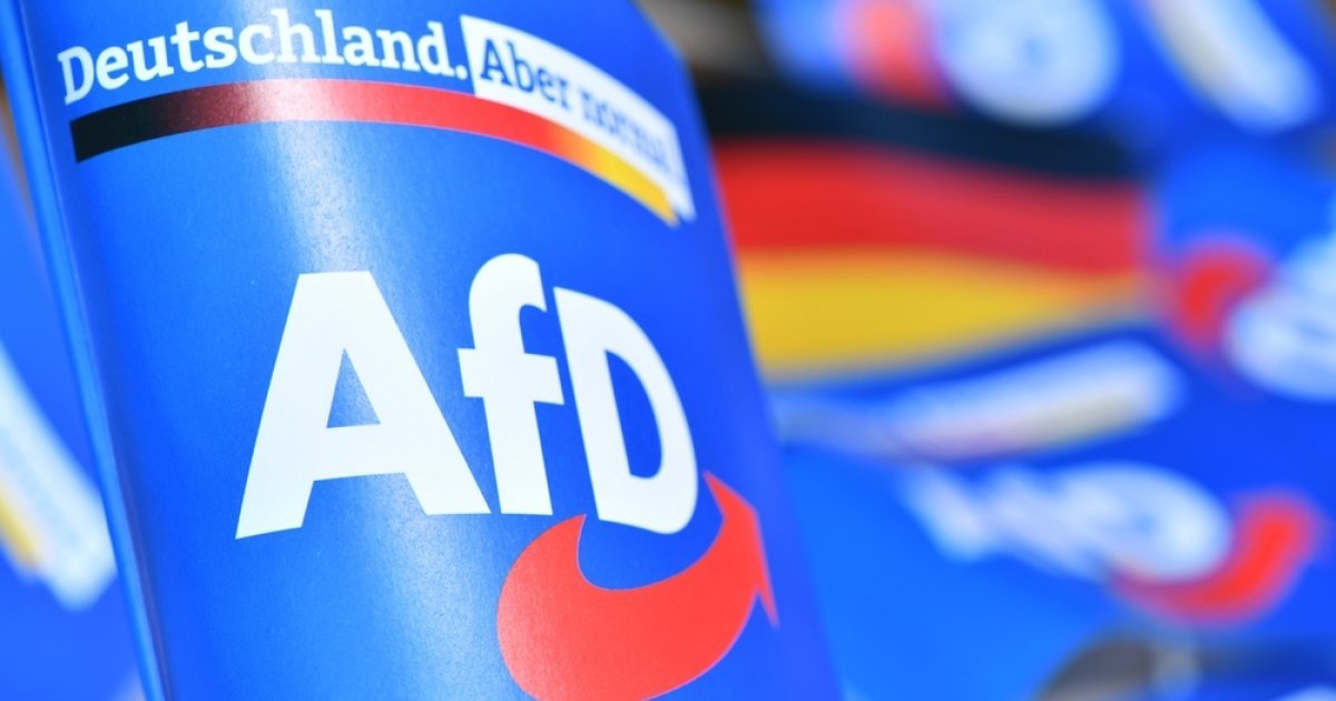 Nearly half of Germans expect AfD to win 2029 federal election