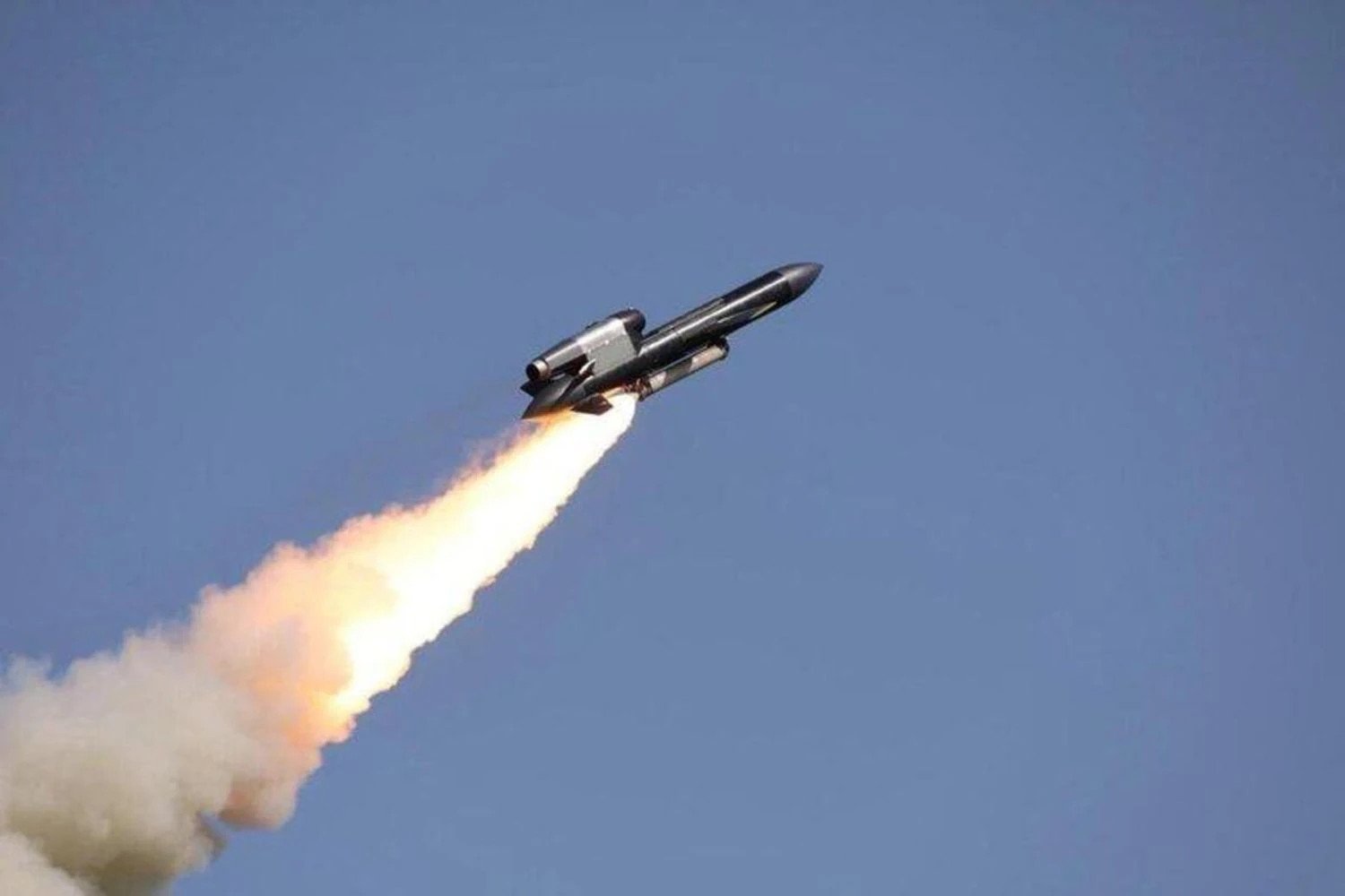 Ukraine unveils Flamingo cruise missile with mass production plans