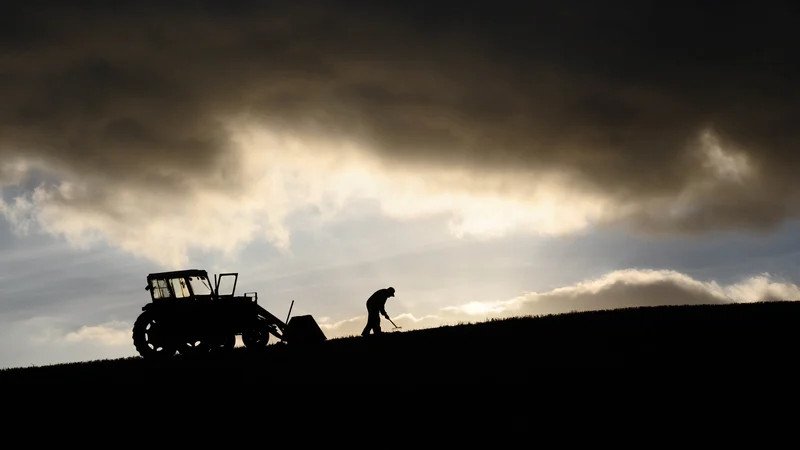 Trapped on the farm: how pension gap keeps older farmers at work