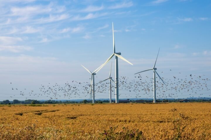 £1 billion wasted on wind power despite Miliband's promise to lower energy bills