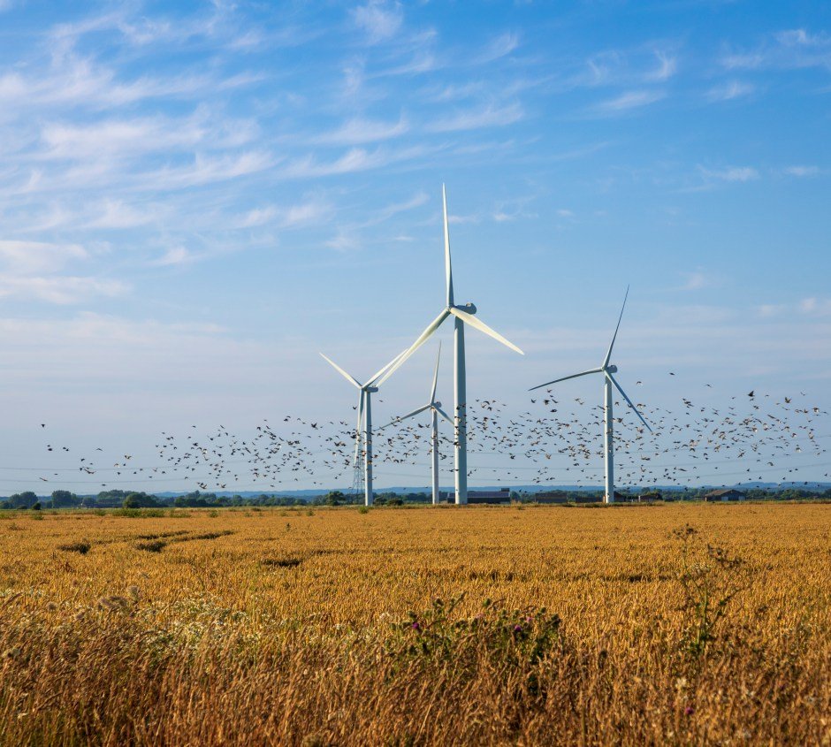 £1 billion wasted on wind power despite Miliband's promise to lower energy bills