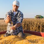 Romania strengthens Black Sea role as Ukrainian grain rail corridor re-opens