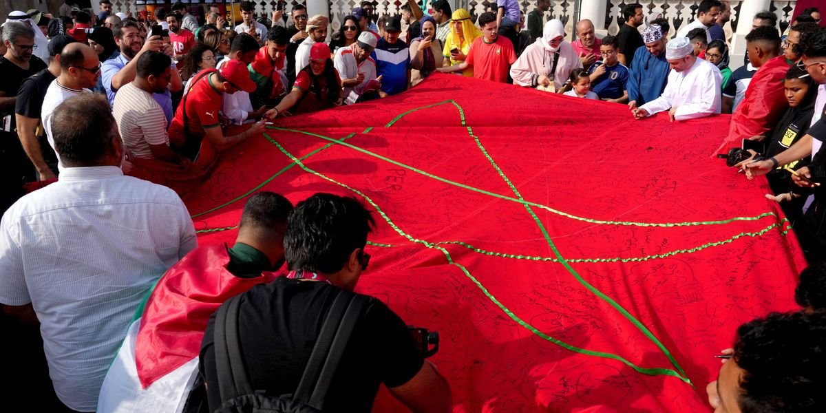 Morocco faces backlash over reported culling of stray dogs ahead of World Cup 2030