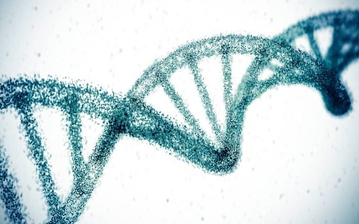 Scientists use gene editing to potentially offer permanent solution for high cholesterol