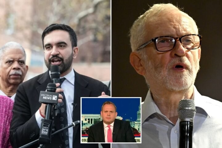 Zohran Mamdani's victory in New York City raises concerns about radical left governance