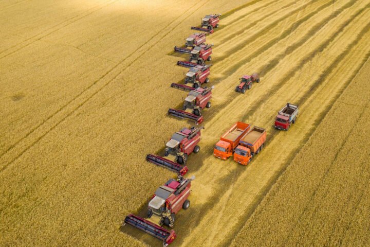Ukrainian durum wheat strengthens supply security for Italy’s food industry