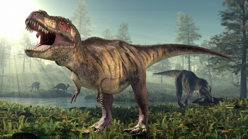 New study reveals T. rex took 35 years to reach full size, challenging growth assumptions