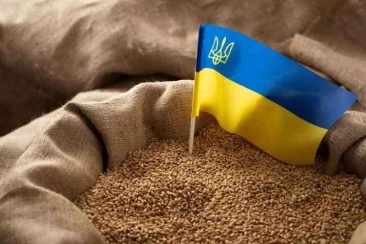 Ukrainian organic produce emerges as a strategic pillar in EU supply chains