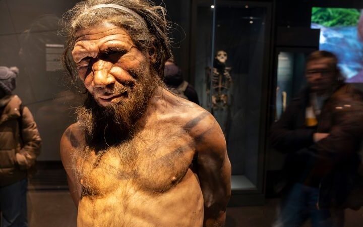 New study suggests male Neanderthals predominantly mated with female humans in ancient times
