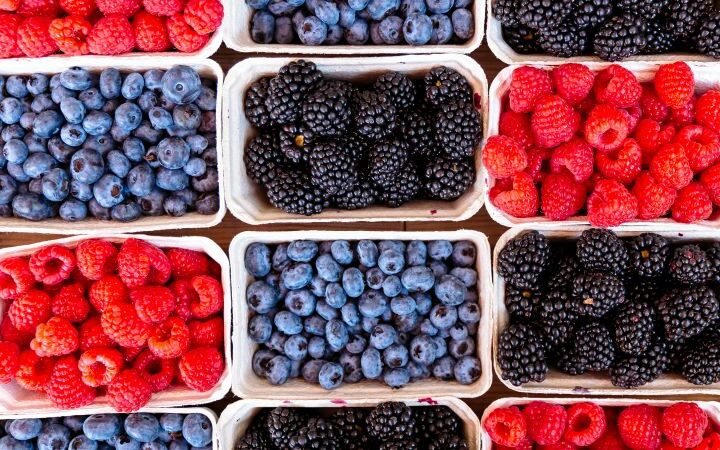 Combination of Mediterranean and DASH diets shown to slow brain aging by over two years