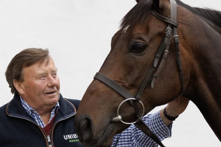 Constitution Hill withdrawn from Cheltenham Festival as welfare concerns take priority