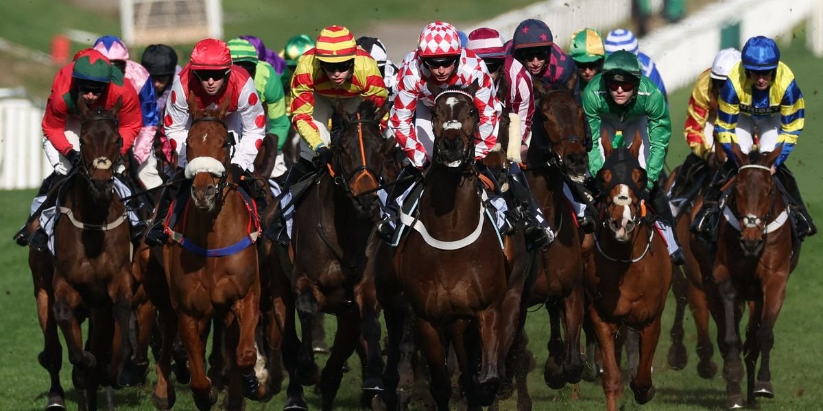 HMS Seahorse suffers fatal injury, marking second horse death at Cheltenham Festival