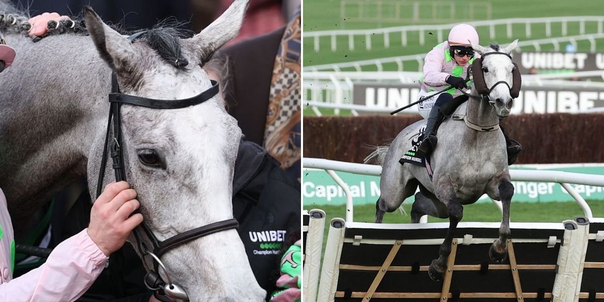 Lossiemouth secures Champion Hurdle victory at Cheltenham Festival, claims fourth consecutive win