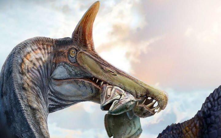 New Spinosaurus species discovered in Niger, the first in over a century