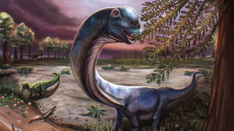 New giant dinosaur species identified from fossils discovered in Thailand
