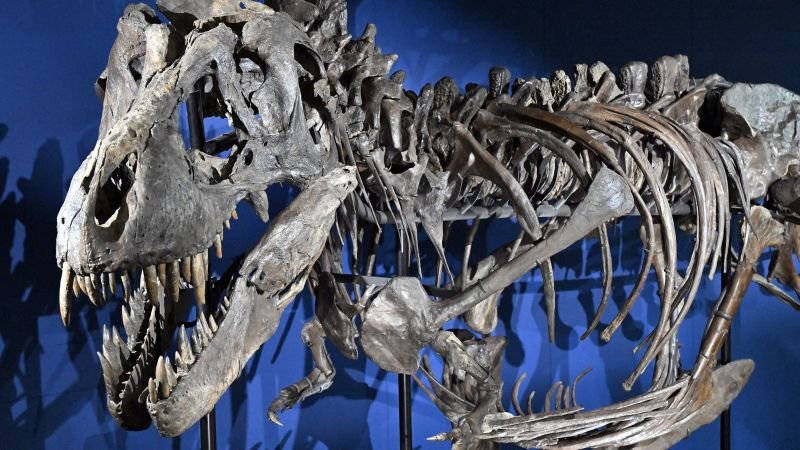 New study provides insights into the evolutionary rationale behind T. rex's tiny arms