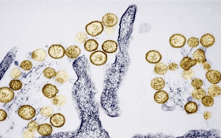 Passengers evacuated from cruise ship amid hantavirus outbreak with rising case counts