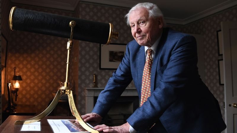 Scientists name new wasp species after David Attenborough to mark his 100th birthday