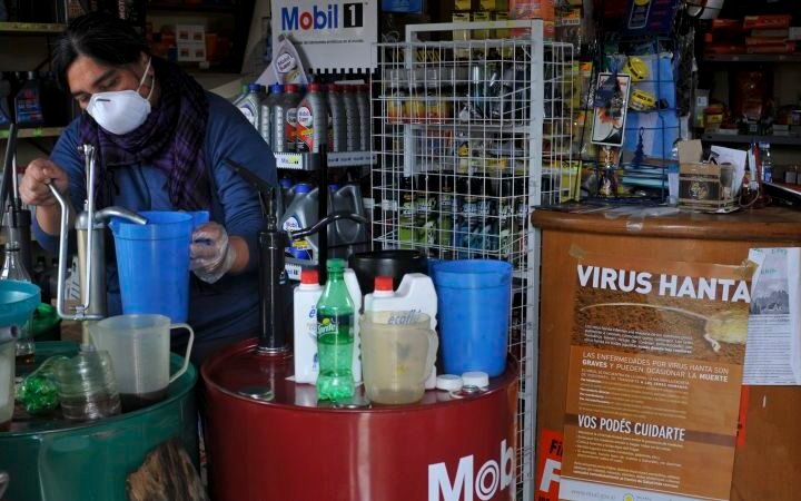 Understanding the Andes hantavirus transmission in recent Argentine outbreak