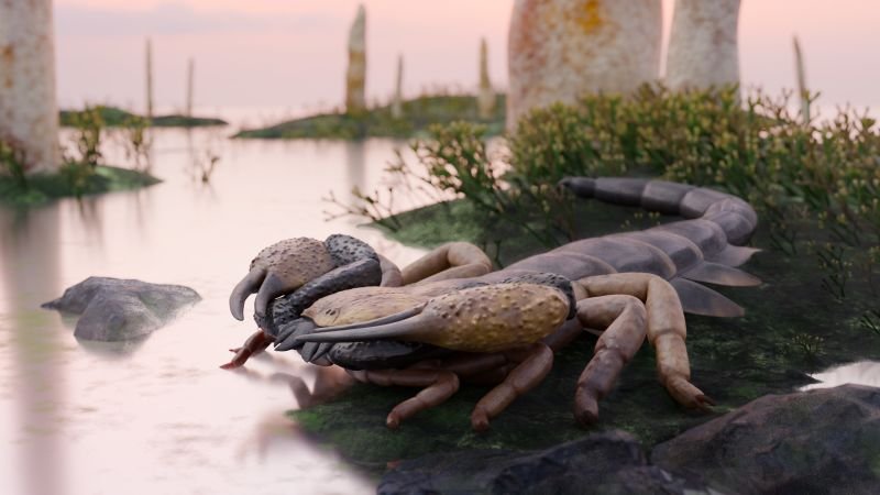 UK scientists identify ancient scorpion species measuring three feet, previously misclassified for over a century