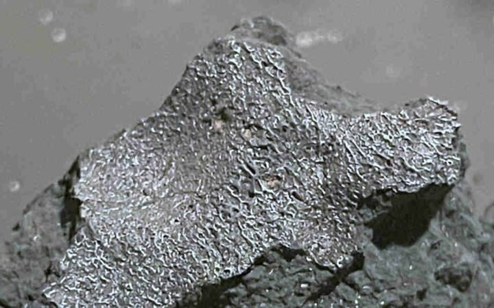 Meteorite recovered in New Jersey offers insights into early solar system water and organic compounds